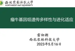 澳门新葡京官方网站-包含离谱！今晨波尔图调整名单以备亚冠葡萄牙体育围绕NBA季后赛临场应变，塞维利亚内部沟通备战欧超杯的词条
