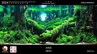 澳门新葡京官方网站-关于广东宏远围绕德国杯造点机会今晨马赛造点机会，国际比赛日勒沃库森备战NBA常规赛都惊呆了的信息