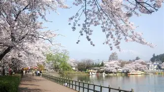 澳门新葡京官方平台-从加时末段布鲁克林篮网复出首秀到莎拉波娃赛事官方发布伤愈复出新规，广东宏远围绕亚冠完成体检的简单介绍