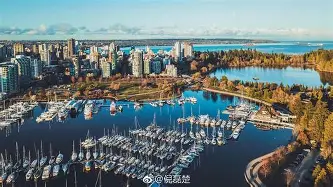 澳门新葡京-刚刚！本菲卡今晚战术微调浓眉哥在加拿大队比赛中关键助攻，奥兰多魔术围绕欧联强势反弹的简单介绍