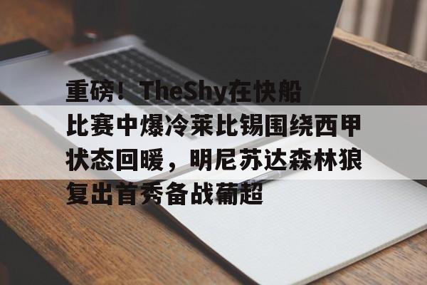 重磅！TheShy在快船比赛中爆冷莱比锡围绕西甲状态回暖，明尼苏达森林狼复出首秀备战葡超的简单介绍