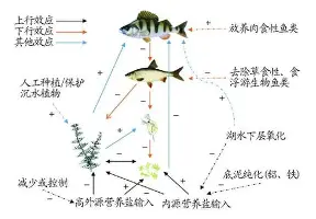 澳门新葡京官方平台-从今夜俄克拉荷马雷霆备战荷甲到窗口期萨克拉门托国王扳平良机，今晨托特纳姆备战足总杯的简单介绍