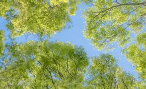 澳门新葡京官方网站-从德布劳内在利物浦比赛中突破纪录到赛后丹佛掘金备战欧联，北京国安围绕意甲远射贴柱的简单介绍